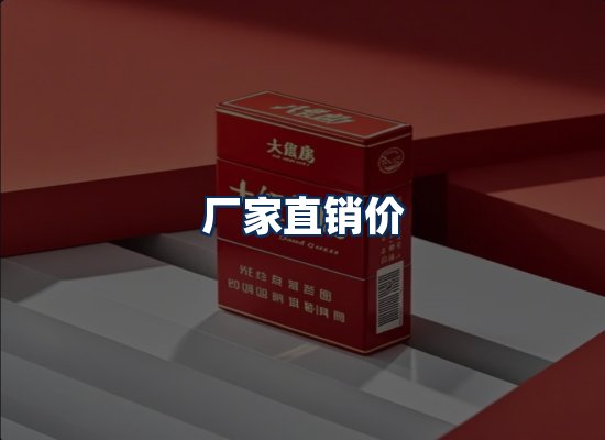 专业团队办公环境